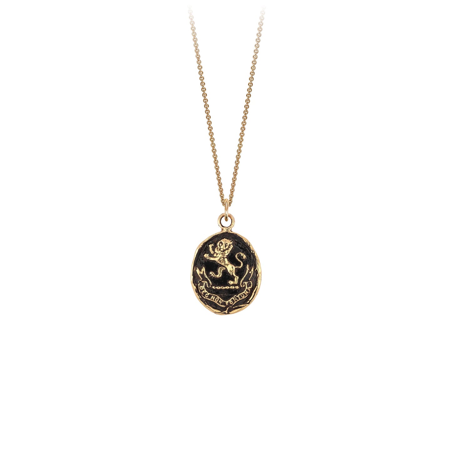 Pyrrha 14k Gold From God Talisman Necklace 20 Inch Chain