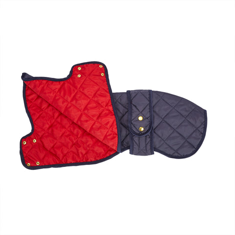 Navy Designer Whippet  Quilted Dog Coat